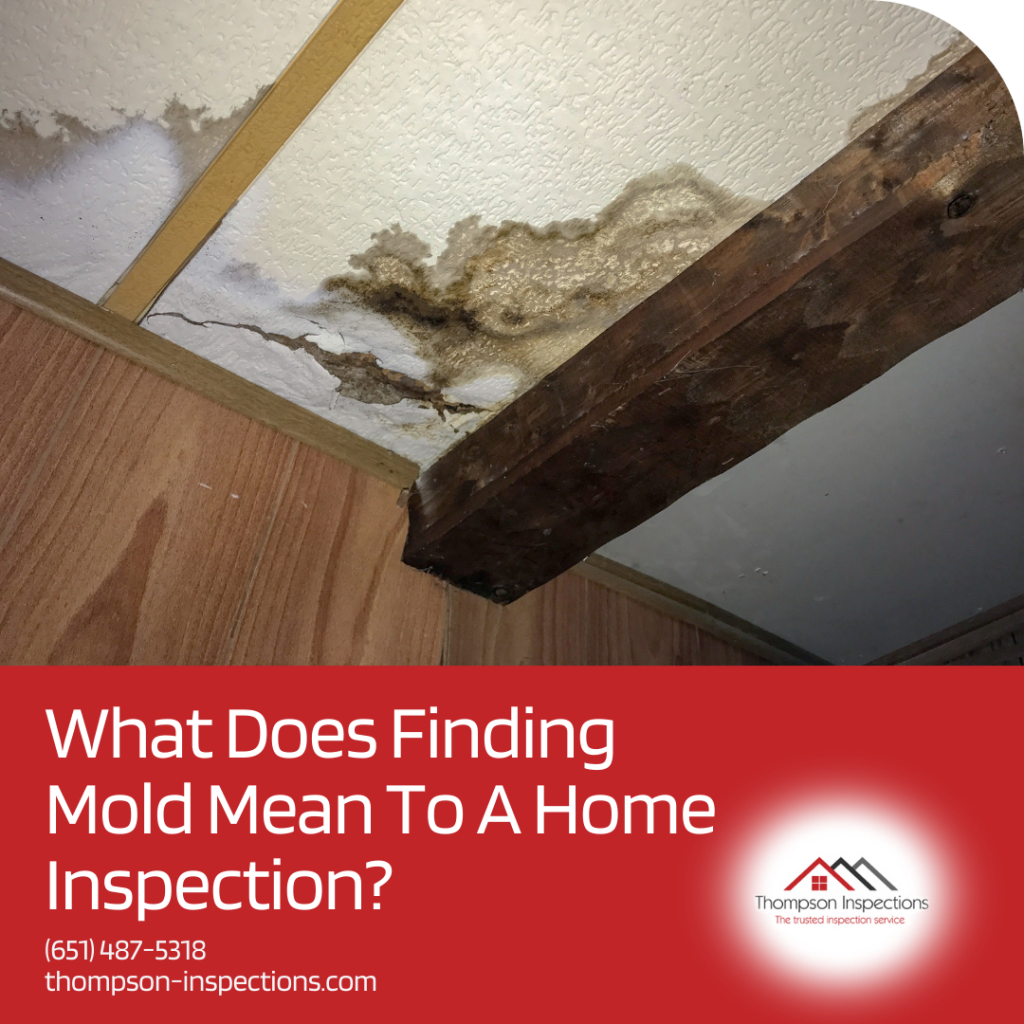 What Does Finding Mold Mean To The Home Inspection? - Home Inspectors Minneapolis